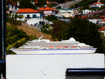 Royal Viking Line Royal Viking Sun cruise ship model