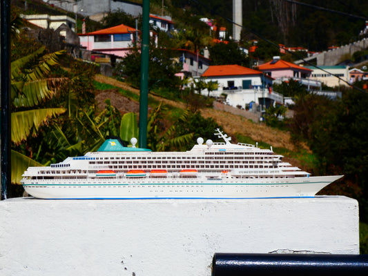 Phoenix Reisen Amera cruise ship model